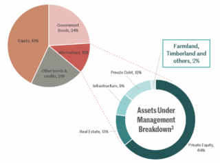 Figure 2 – Natural Capital is significantly underallocated in most global investment portfolios