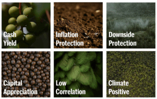Figure 4 – Positive Attributes of Natural Capital In Portfolio Construction